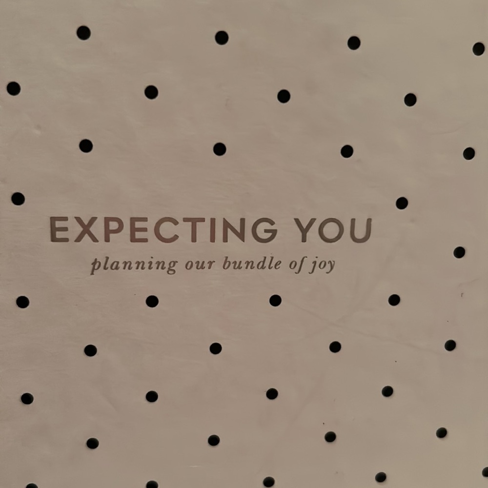 Kate Spade pregnancy planner - Picture 5 of 9